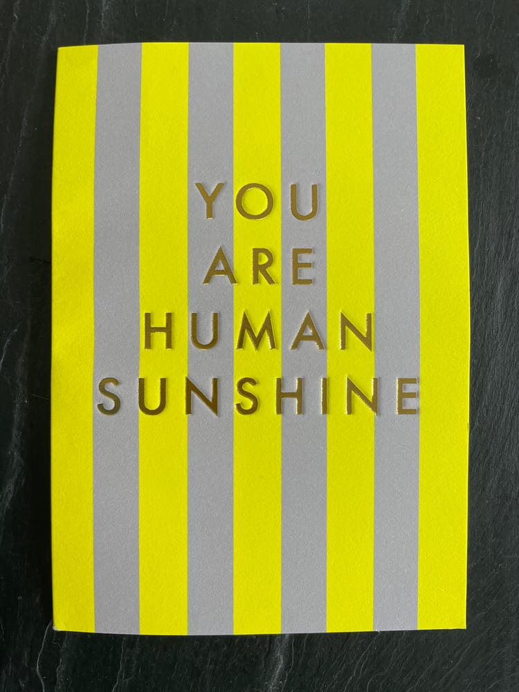 ✨ Seth & buddi bench have Won ANOTHER AWARD!!! ✨